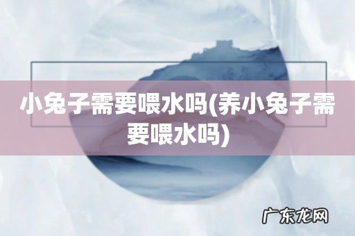 养小兔子需要喂水吗 小兔子需要喂水吗