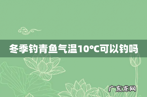 冬季钓青鱼气温10℃可以钓吗
