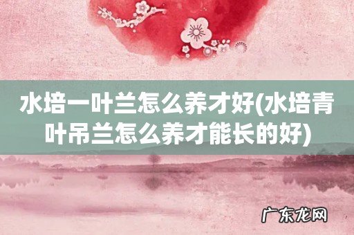 水培青叶吊兰怎么养才能长的好 水培一叶兰怎么养才好