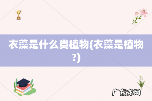 衣藻是植物? 衣藻是什么类植物