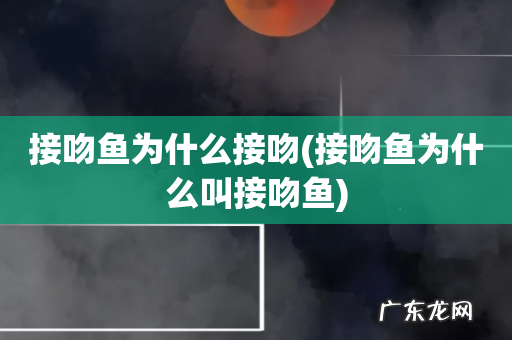 接吻鱼为什么叫接吻鱼 接吻鱼为什么接吻