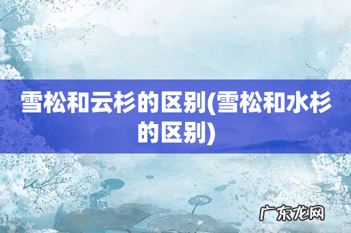 雪松和水杉的区别 雪松和云杉的区别
