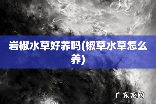 椒草水草怎么养 岩椒水草好养吗