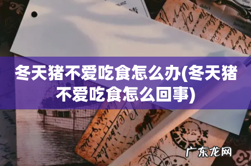 冬天猪不爱吃食怎么回事 冬天猪不爱吃食怎么办