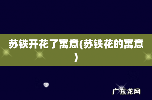 苏铁花的寓意 苏铁开花了寓意