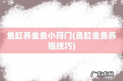 鱼缸金鱼养殖技巧 鱼缸养金鱼小窍门