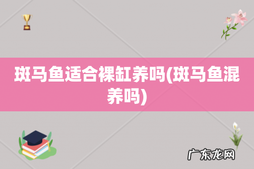 斑马鱼混养吗 斑马鱼适合裸缸养吗