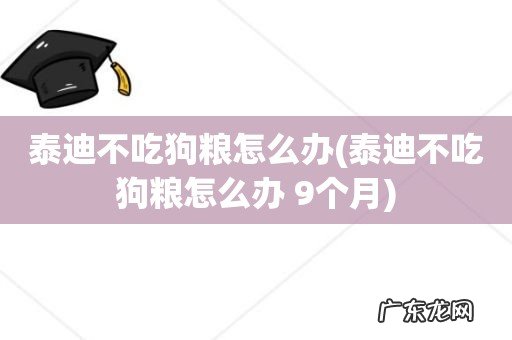 泰迪不吃狗粮怎么办 9个月 泰迪不吃狗粮怎么办