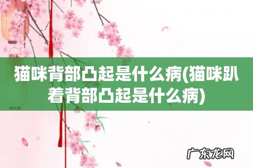 猫咪趴着背部凸起是什么病 猫咪背部凸起是什么病