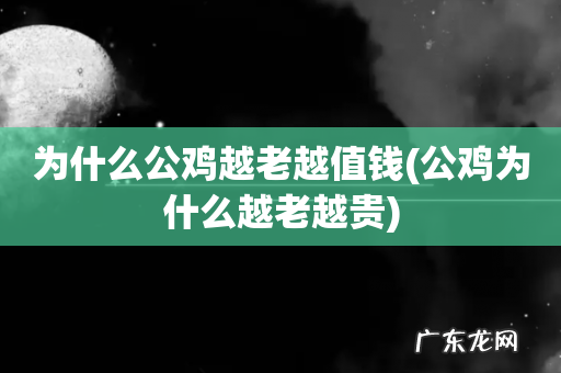 公鸡为什么越老越贵 为什么公鸡越老越值钱