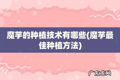 魔芋最佳种植方法 魔芋的种植技术有哪些