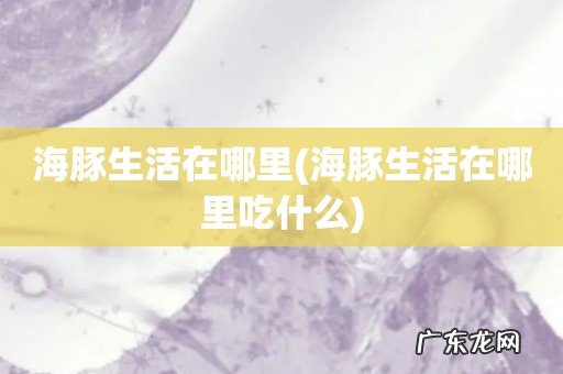 海豚生活在哪里吃什么 海豚生活在哪里