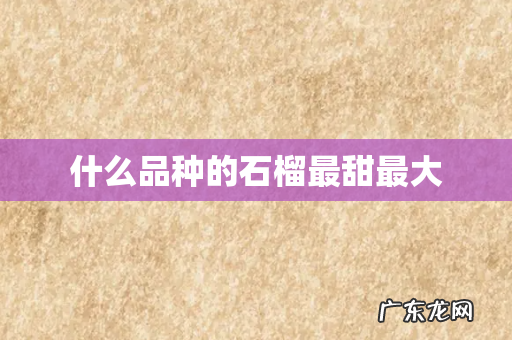 什么品种的石榴最甜最大