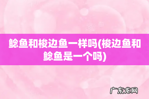 梭边鱼和鲶鱼是一个吗 鲶鱼和梭边鱼一样吗