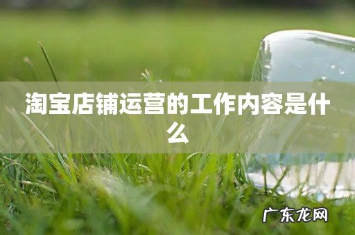 淘宝店铺运营的工作内容是什么