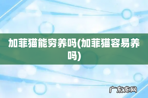 加菲猫容易养吗 加菲猫能穷养吗