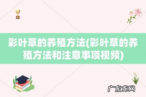 彩叶草的养殖方法和注意事项视频 彩叶草的养殖方法