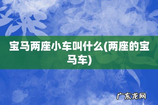 两座的宝马车 宝马两座小车叫什么