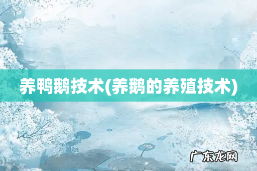 养鹅的养殖技术 养鸭鹅技术