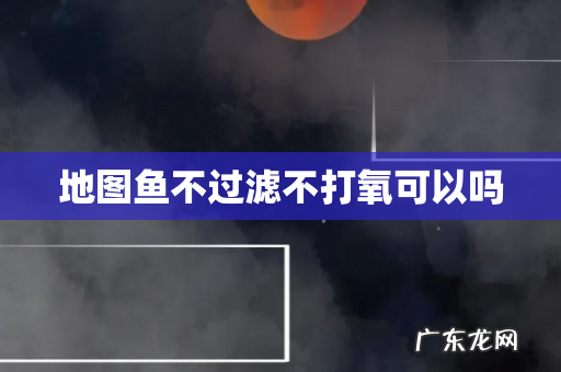 地图鱼不过滤不打氧可以吗