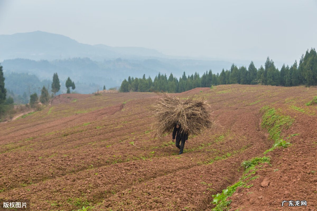 国风唐风绸缪表达了 国风唐风绸缪