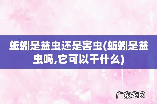 蚯蚓是益虫吗,它可以干什么 蚯蚓是益虫还是害虫