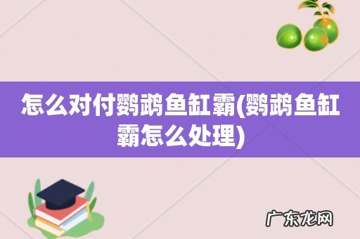 鹦鹉鱼缸霸怎么处理 怎么对付鹦鹉鱼缸霸