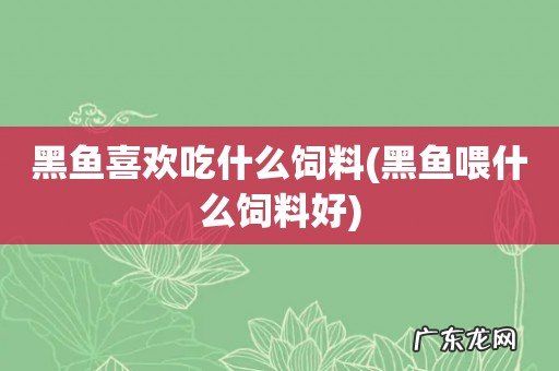 黑鱼喂什么饲料好 黑鱼喜欢吃什么饲料