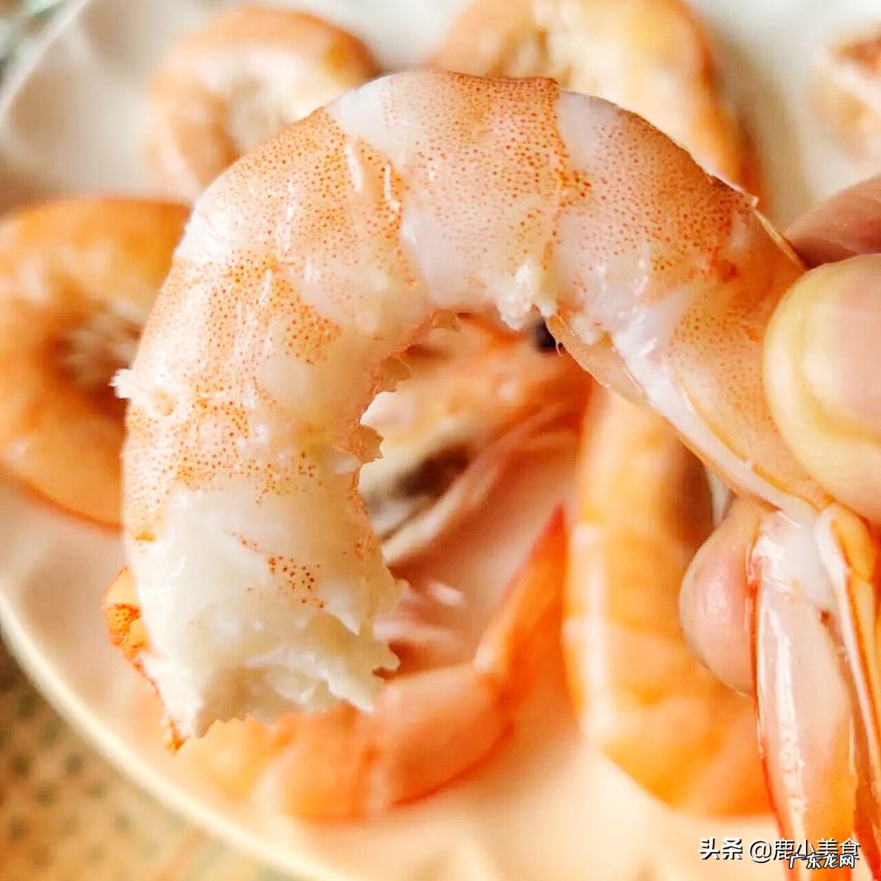 白灼虾的制作方法 白灼虾的做法步骤