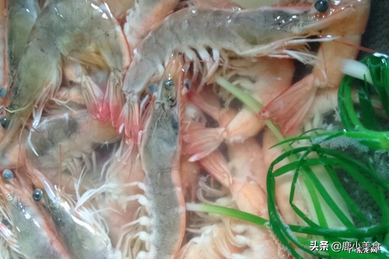 白灼虾的制作方法 白灼虾的做法步骤