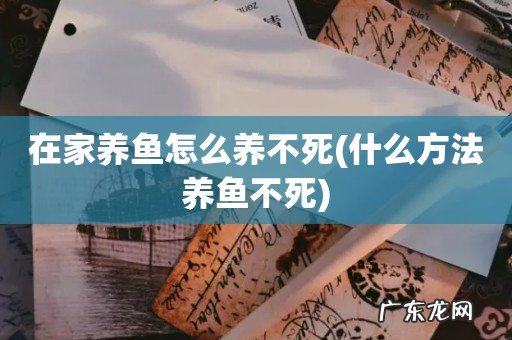 什么方法养鱼不死 在家养鱼怎么养不死