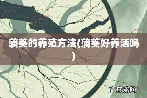 蒲葵好养活吗 蒲葵的养殖方法