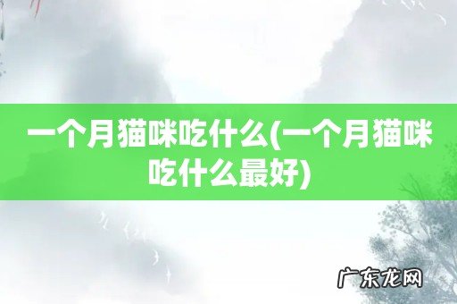 一个月猫咪吃什么最好 一个月猫咪吃什么