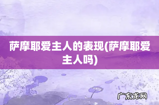 萨摩耶爱主人吗 萨摩耶爱主人的表现