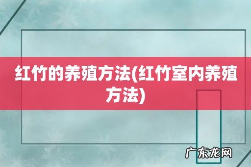 红竹室内养殖方法 红竹的养殖方法