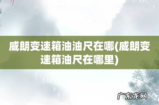 威朗变速箱油尺在哪里 威朗变速箱油油尺在哪