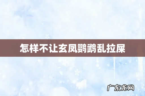 怎样不让玄凤鹦鹉乱拉屎