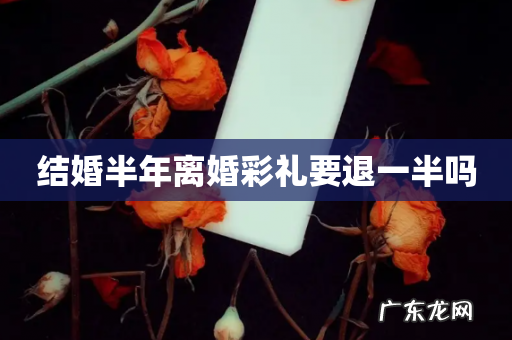 结婚半年离婚彩礼要退一半吗