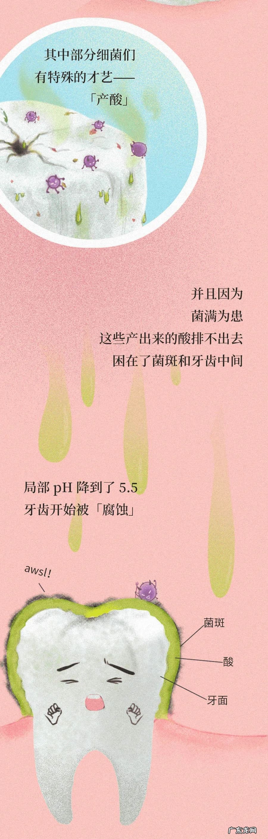 佛教对于长智齿的说法 长智慧牙有什么寓意