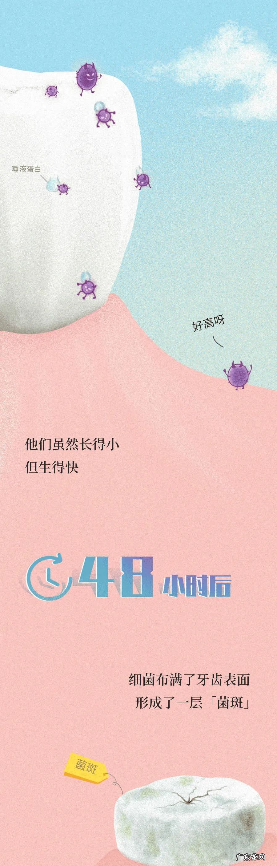 佛教对于长智齿的说法 长智慧牙有什么寓意