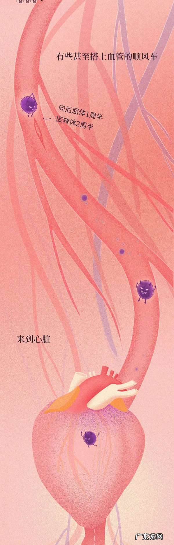 佛教对于长智齿的说法 长智慧牙有什么寓意