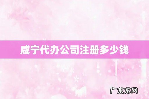 咸宁代办公司注册多少钱