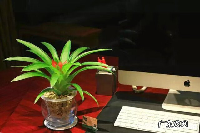 选房风水注意事项 房子生肖风水禁忌