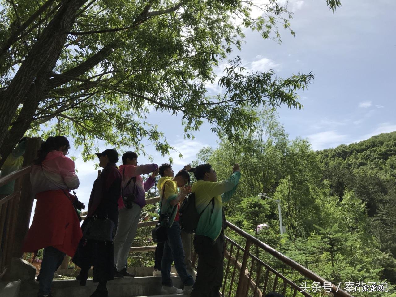 嵩山风水大局 武汉青山区风水大局