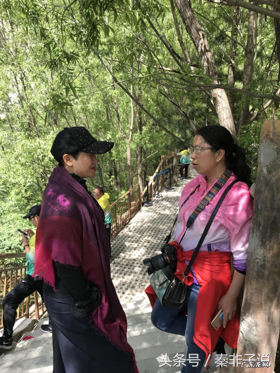 嵩山风水大局 武汉青山区风水大局