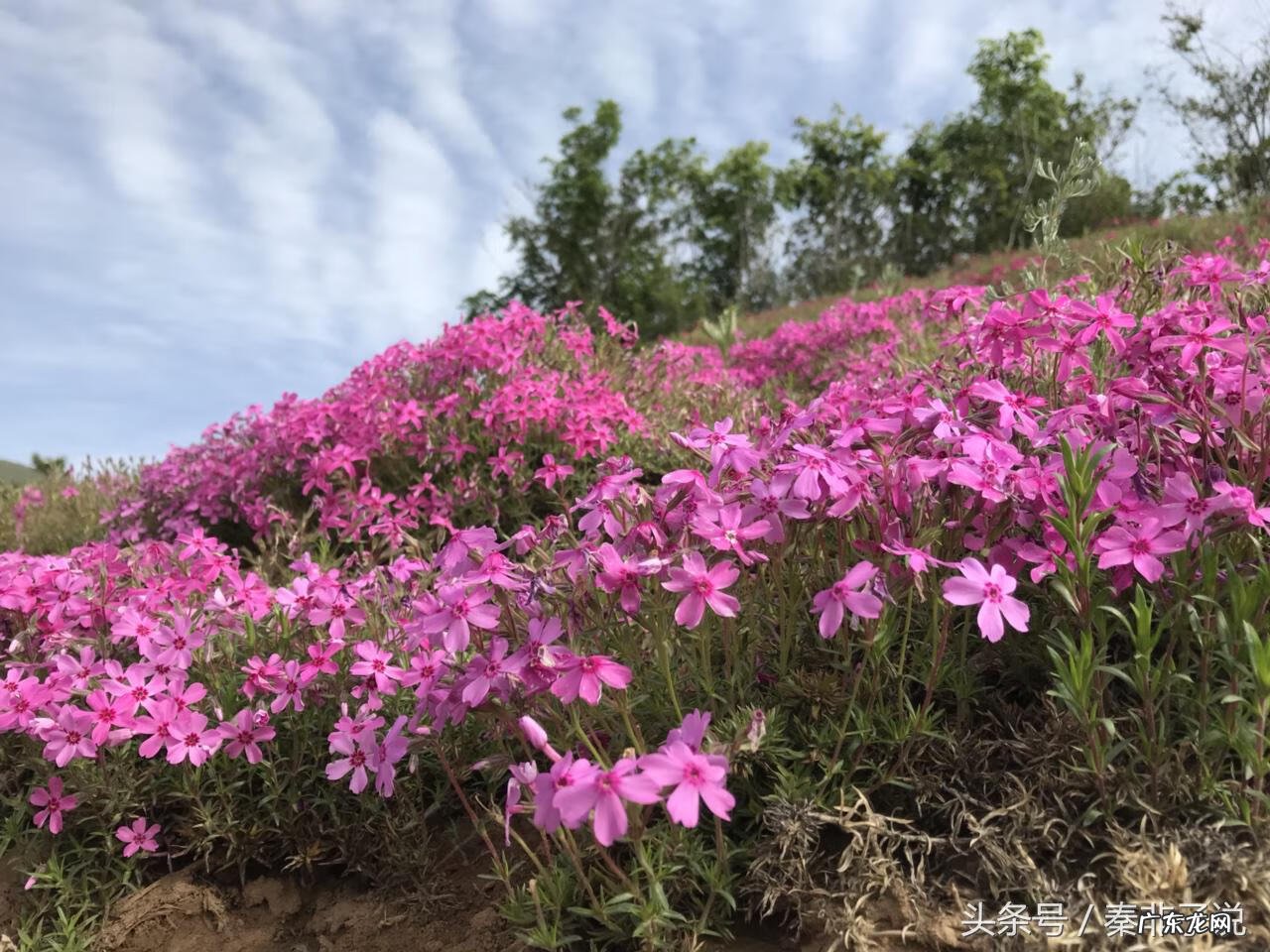 嵩山风水大局 武汉青山区风水大局