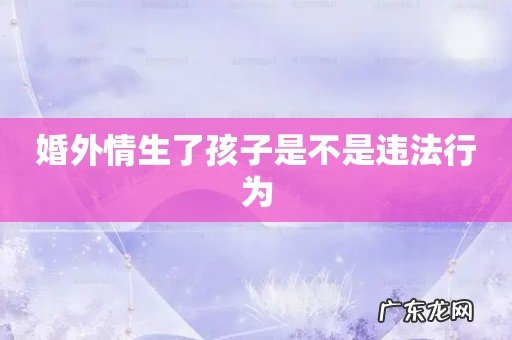 婚外情生了孩子是不是违法行为