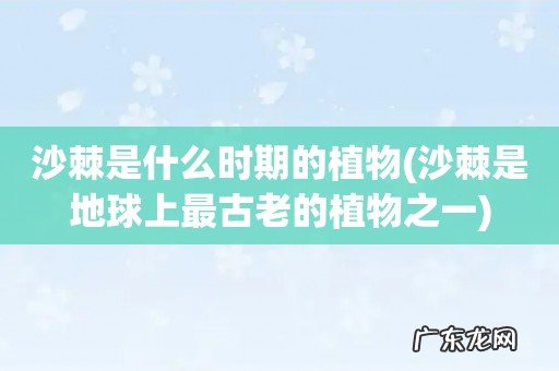 沙棘是地球上最古老的植物之一 沙棘是什么时期的植物