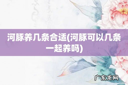 河豚可以几条一起养吗 河豚养几条合适