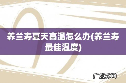 养兰寿最佳温度 养兰寿夏天高温怎么办